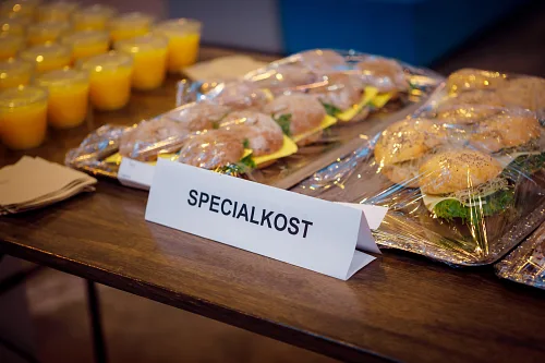 Care Connect with Ukraine — Project conference, photo 6