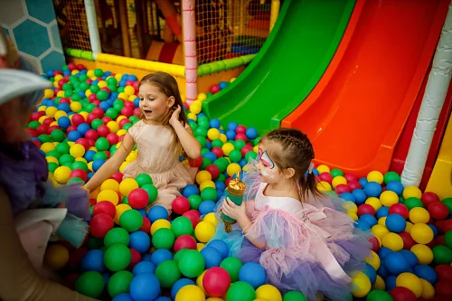 Sonya 4yo Kids Party — фото 62