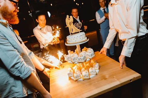 Tanya and Konstantin Retro wedding — wed 0242