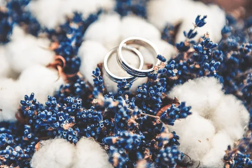 Irina and Artem Wedding story — story 0060